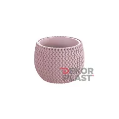 DKSP 150 Lila