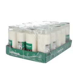 Olajmécses 4 napos