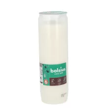 Olajmécses 6 napos
