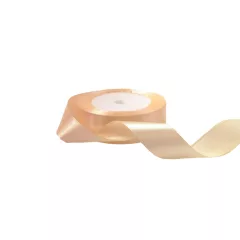 Szatén szalag / 2,5cm x 25y   02#
