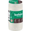 Olajmécsesek Olajmécsesek