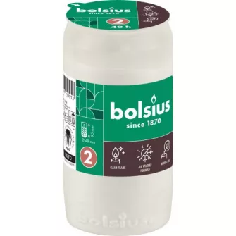 Olajmécsesek
